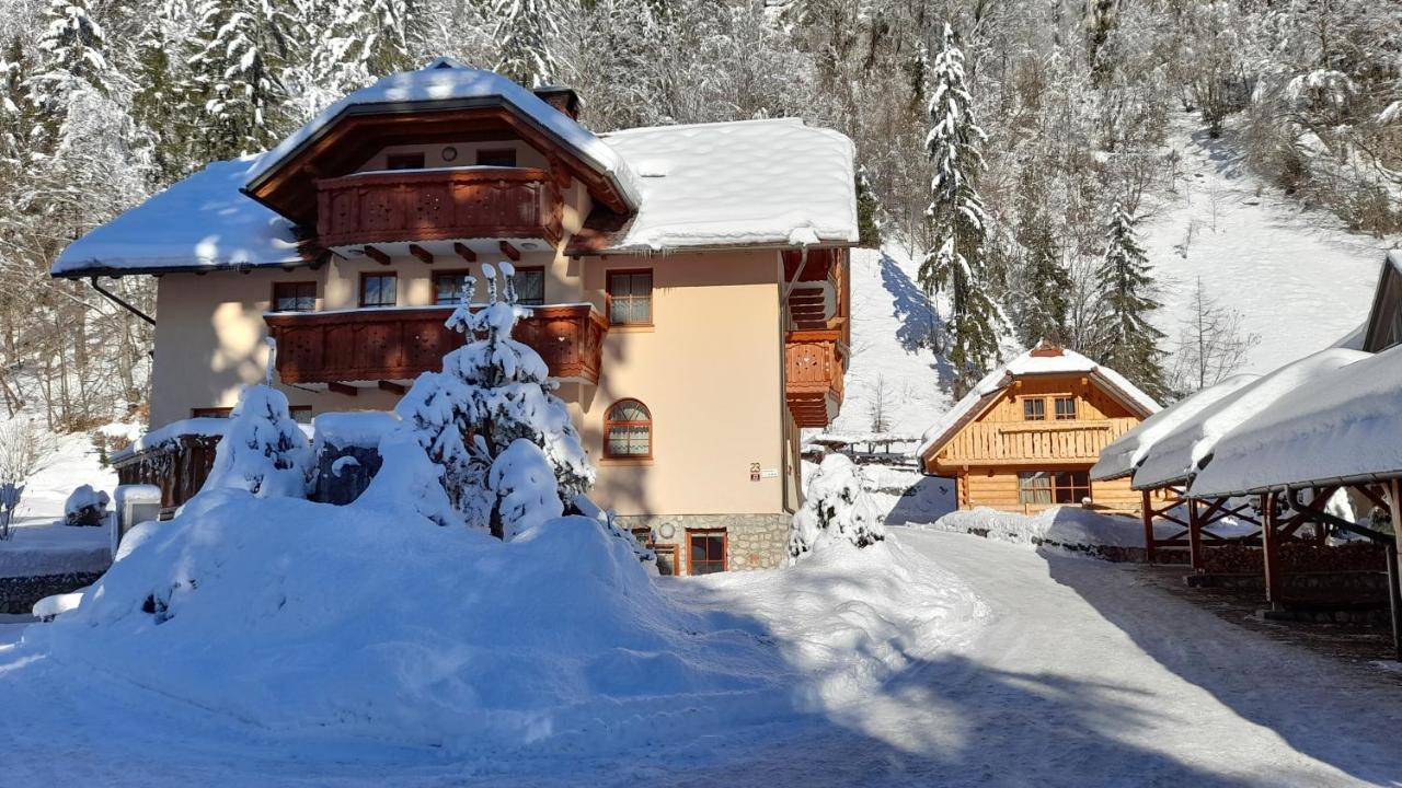 Apartma in Bungalov Jezerci Gozd Martuljek Exterior foto